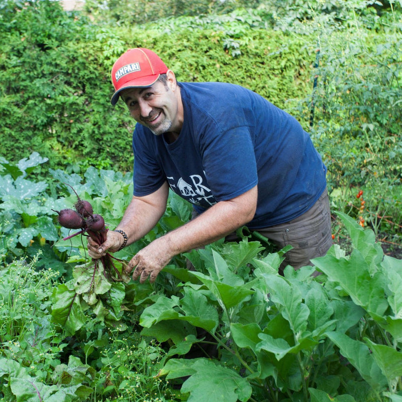 Farm to Table Cooking Class with Frati Farms - Fri Aug 22