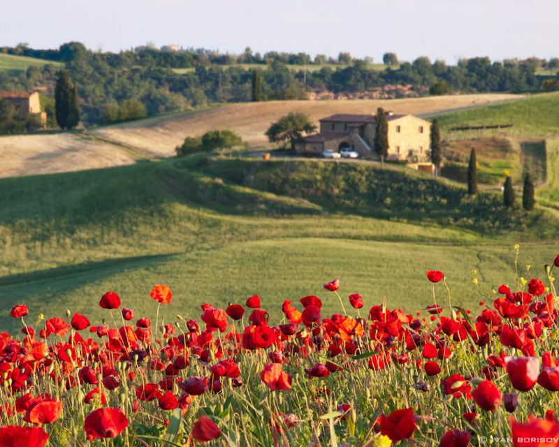 Spring in Tuscany Cooking Class | Fri Apr 12 - SOLD OUT